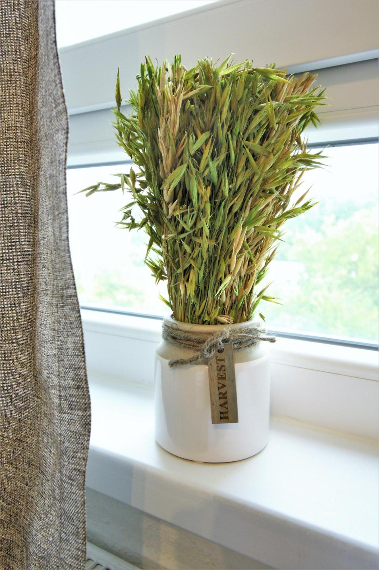 Work And Centrum Apartment *